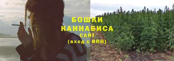 ПСИЛОЦИБИНОВЫЕ ГРИБЫ Майский