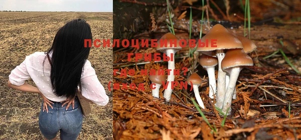 ПСИЛОЦИБИНОВЫЕ ГРИБЫ Майский