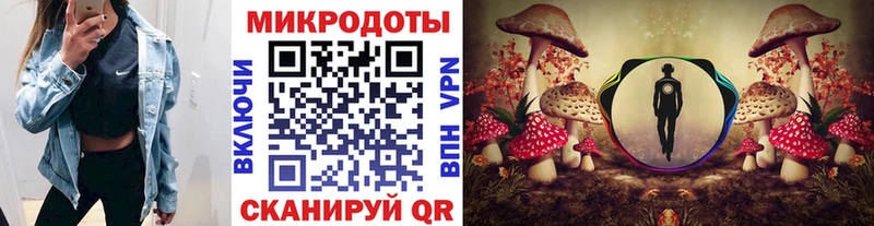 Купить где  Медвежьегорск  Псилоцибиновые грибы MAGIC MUSHROOMS 